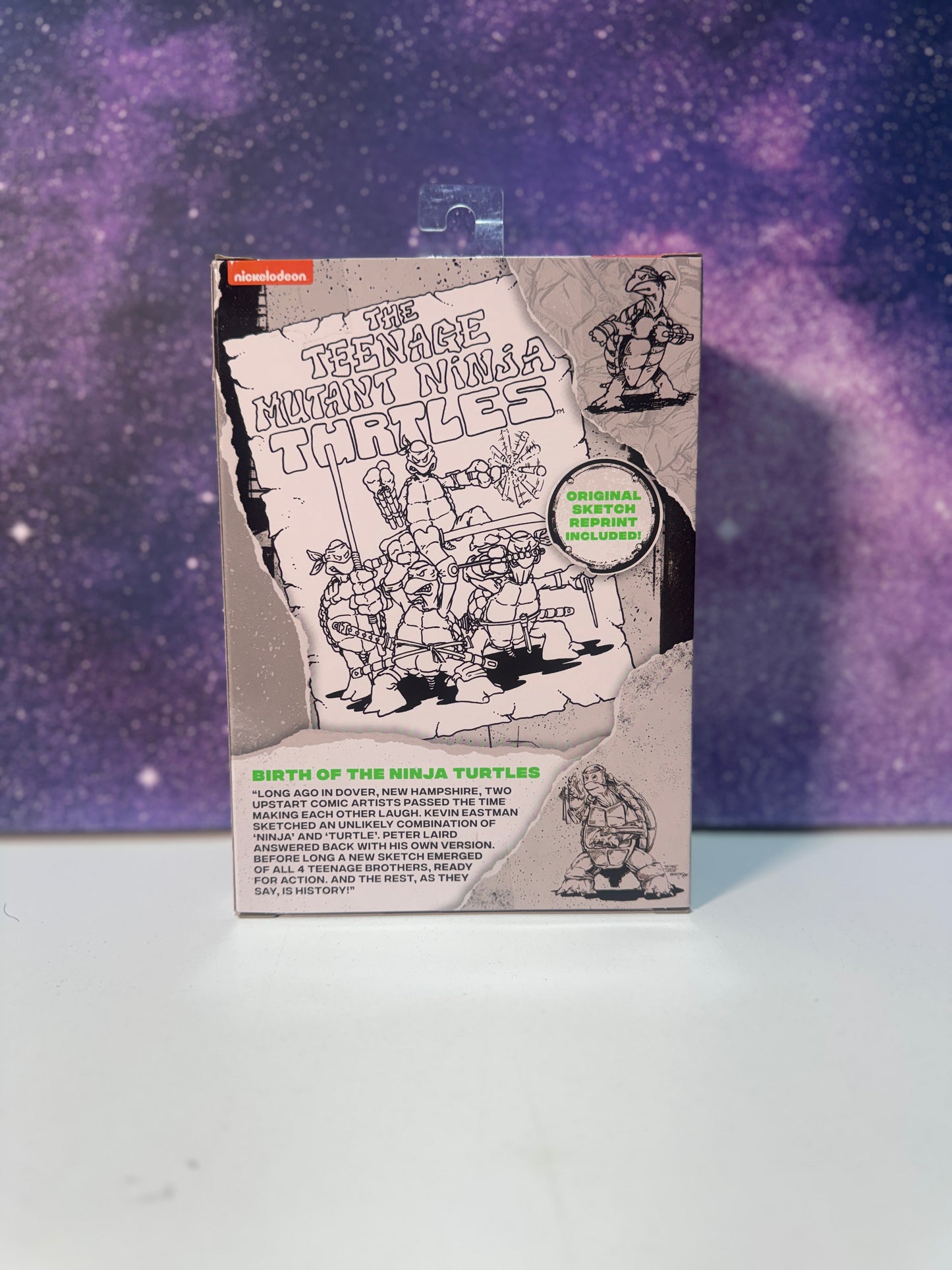 The Teenage Mutant Ninja Turtles Original Sketch Leonardo