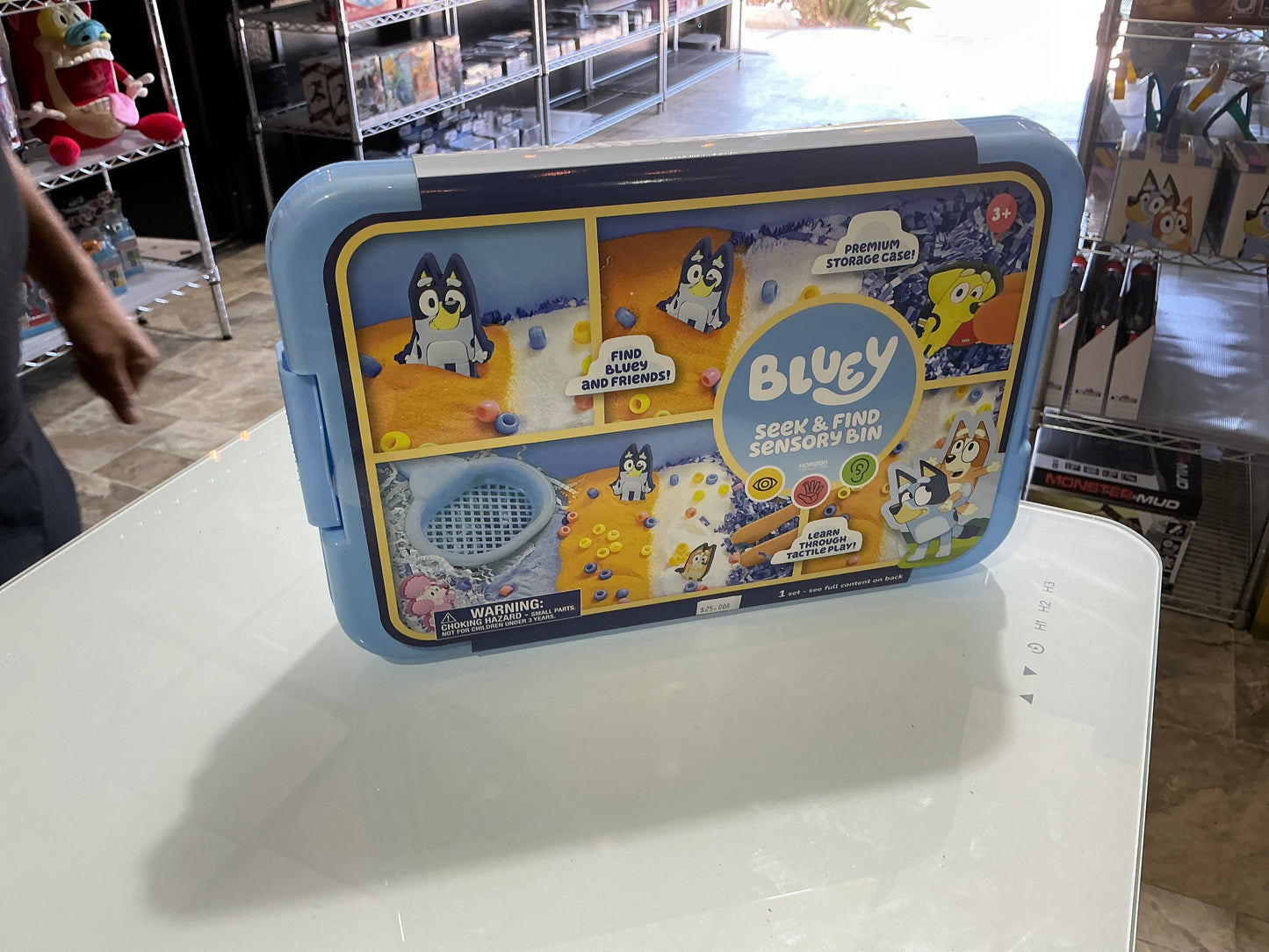 Bluey seek and find sensory bin